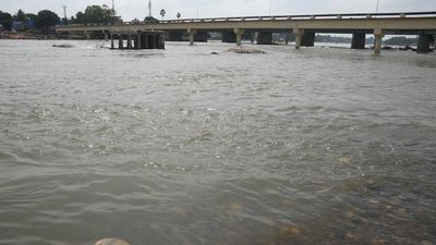 IMD issues possible heavy rain alert in Tirunelveli, Thoothukudi on January 1, 2