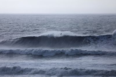 Fearless surfers brave monster waves, emergency crews on high alert