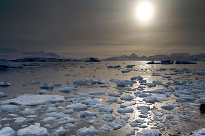 Red alert in Antarctica: the year rapid, dramatic change hit climate scientists like a ‘punch in the guts’
