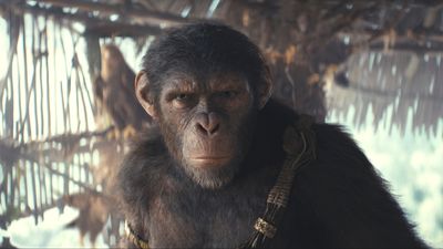 Kingdom Of The Planet Of The Apes Director Says The Film Isn’t ‘Disneyfied’ But Explains How The Sequel Differs From Its Predecessors
