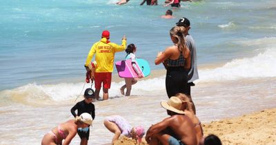 Lifeguards keep eyes peeled as hordes flock to beaches