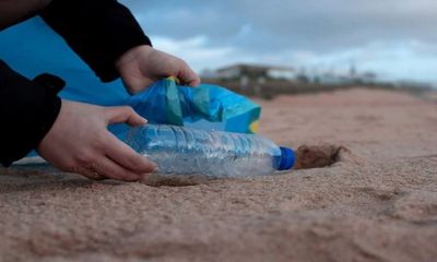 AI predicts influence of microplastics on soil: Study