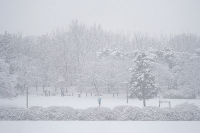 South Korea's capital records heaviest single-day snowfall in December for 40 years