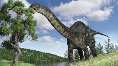 Why was the name 'Brontosaurus' brought back from the dead?