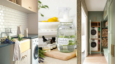 Experts explain what enzyme cleaners are and their benefits