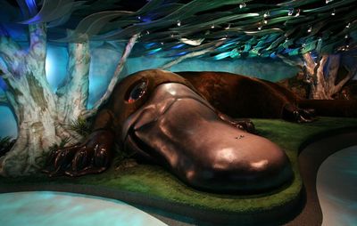 Funding the 12-metre platypus, and other decisions that troubled the Howard government