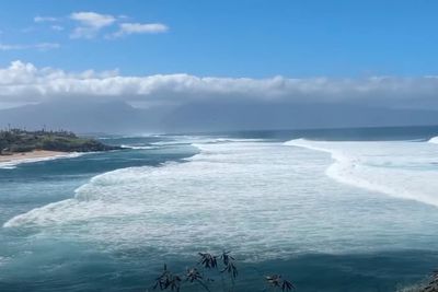 Man killed in shark attack off Hawaii