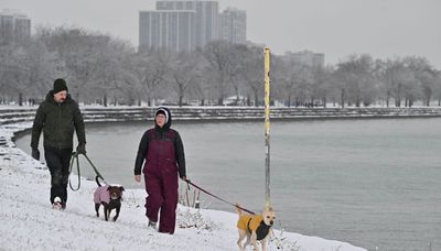 A taste of winter as snow dusts Chicago on last day of the year