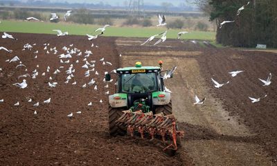 Labour pledges ‘new deal for farmers’ to boost UK agriculture