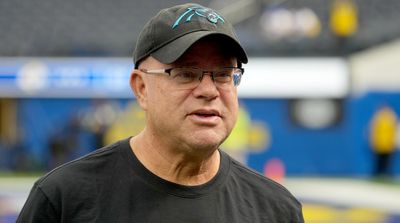 Video Appears to Show Panthers Owner David Tepper Throwing Drink at Jaguars Fan During Loss