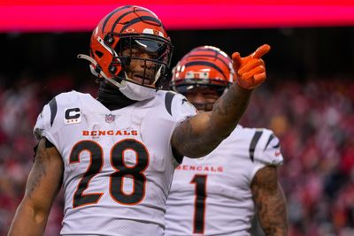 Bengals eliminated from playoff contention with loss to Chiefs