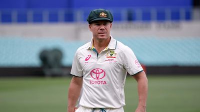 David Warner had plans to retire from Tests mid-Ashes