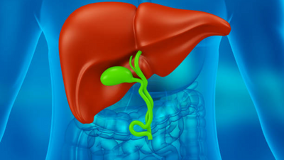 Here's how to keep the liver healthy