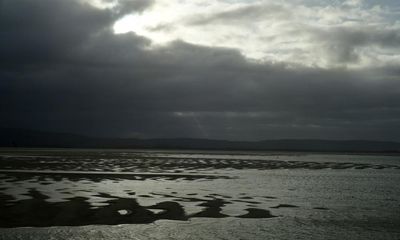 Country diary: Gales tear sand from the foreshore