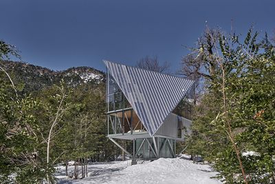 House in the Trees offers a bird's eye view of the Chilean forest