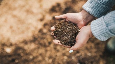 How to maintain compost over winter – 5 expert ways to keep it nutrient-rich and in top condition