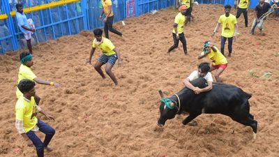 T.N.’s first jallikattu to be held in Thatchankurichi in Pudukottai district on January 6