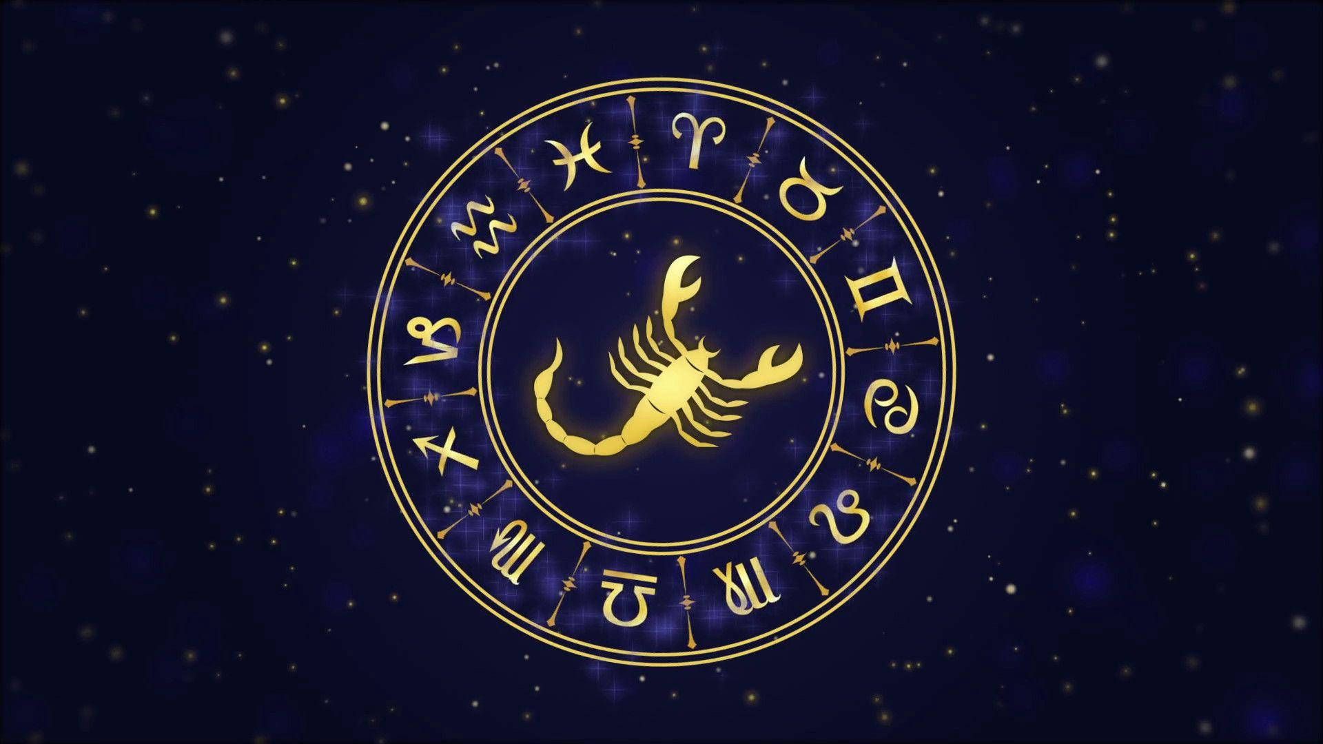 Scorpio Horoscope Today Insights for Zodiac Sign 1…