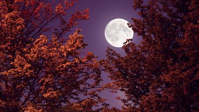 Full moons of 2024: Names, dates and everything you need to know