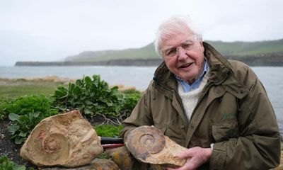 Attenborough and the Giant Sea Monster review – quite possibly the most deeply joyous show ever made