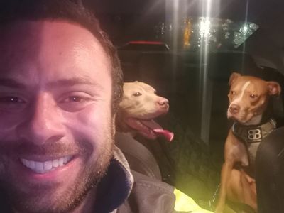 Man drives 200 miles to Scottish Borders to save XL Bully dogs before ban