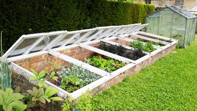 Protect your seedlings with 5 cold frame ideas to use in your backyard