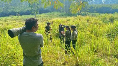 Synchronised vulture survey records 121 sightings in Wayanad