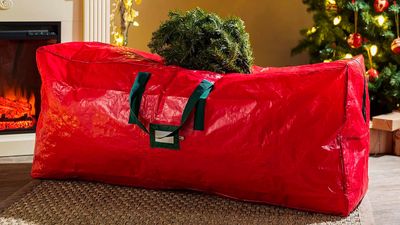 Amazon’s no. 1 bestselling Christmas tree storage bag that withstood a hurricane is on sale for $16