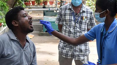312 COVID-19 sub-variant JN.1 cases detected in India