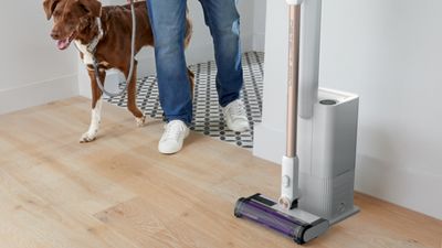 Shark Cordless Detect Pro Auto-Empty System Vacuum Cleaner Review
