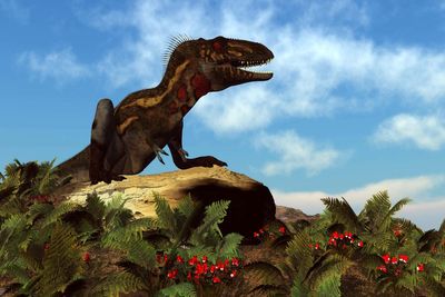 ‘Teenage T. rex’ fossils ‘are a different dinosaur species’