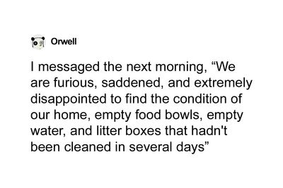 Hey Pandas, AITA For Being Insensitive Towards A Pet Sitter That Did A Bad Job?