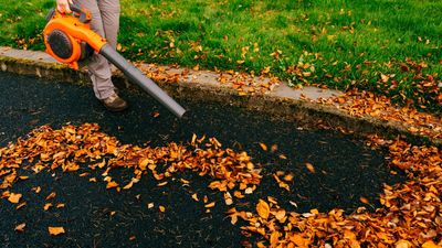 How to choose a leaf blower