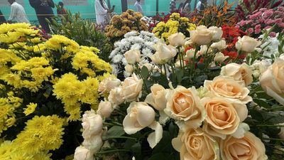 Republic Day flower show at Lalbagh to pay tribute to Basavanna and Vachana Sahitya