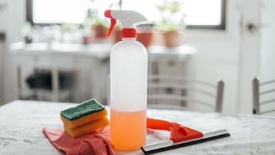 4 things you should never use bleach on at home
