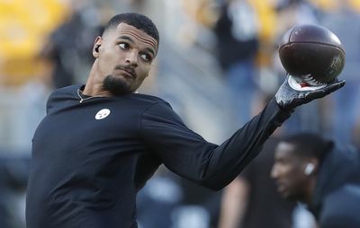 Steelers vs Ravens: Minkah Fitzpatrick and Elandon Roberts return to practice