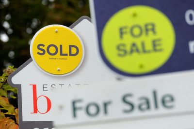 Record Boxing Day bounce in sellers coming to market, says Rightmove