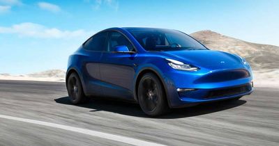 Surprise, surprise: Canberra's best-selling car in 2023 was a Tesla EV