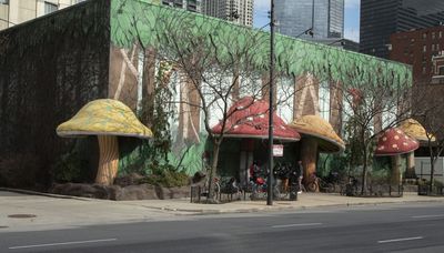 Weed dispensary plan at old Rainforest Cafe in River North goes up in smoke