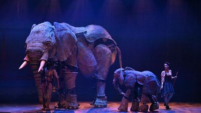 Circus flips into Melbourne with elephants and acrobats