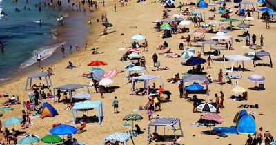 Absolutely chockers: lifeguards warn beachgoers in busy summer season