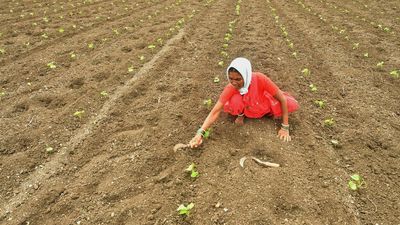Why is upskilling necessary for the rural youth? | Explained
