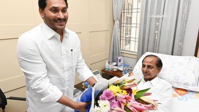 Andhra Pradesh CM Jagan calls on KCR in Hyderabad