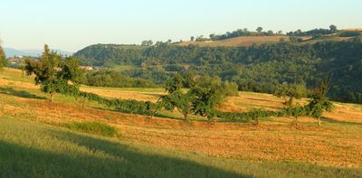 Ancient Roman wine production may hold clues for battling climate change