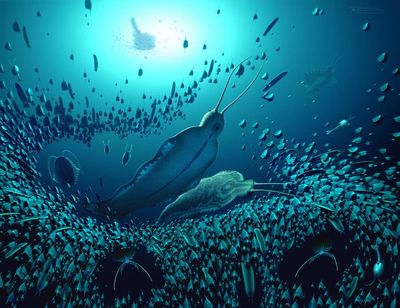 Giant ‘terror beast’ worms that colonised water 518 million years ago unearthed in Greenland