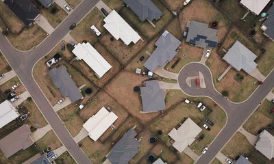 ‘It’s slipped off the radar’: why are there fewer street trees in regional towns across Australia?