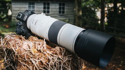 12 lenses of Christmas: November 2023 was Canon’s BIG month, launching a world-first super-telephoto zoom