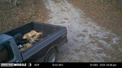 Authorities investigating the alleged dumping of dozens of deceased dogs in McCreary County
