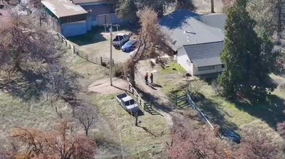14-year-old boy arrested for parents’ murders and trying to kill his sister