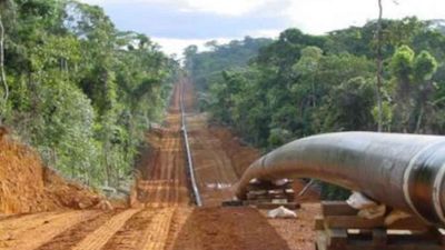 TotalEnergies signals land review for contentious mega projects in Africa